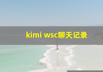 kimi wsc聊天记录